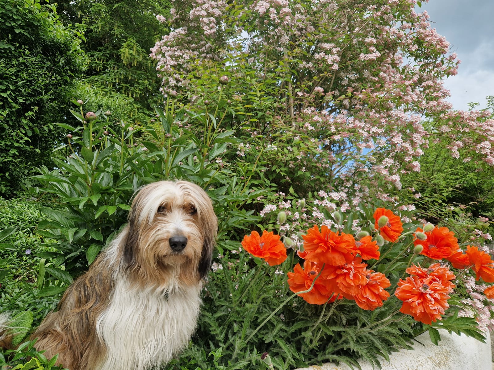 Bailey-von-der-Straubenhalde 8 Jahre 
